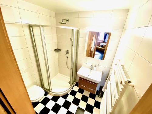 a bathroom with a shower and a toilet and a sink at Le Charme 1, Morgins in Morgins