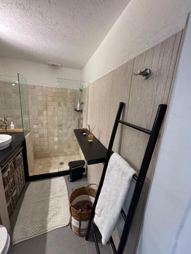 a bathroom with a shower and a table and a sink at Coeur Créole in Saint Barthelemy