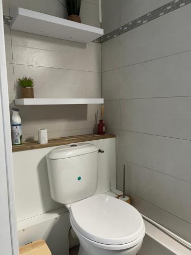a bathroom with a white toilet in a room at Le Loft in Pointe-à-Pitre