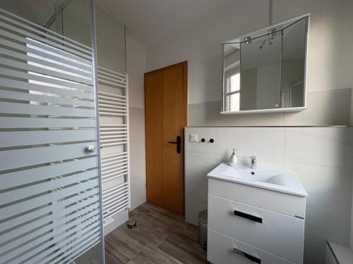 a bathroom with a sink and a mirror and a shower at Ferienwohnung zum Pferdeblick in Bad Bentheim