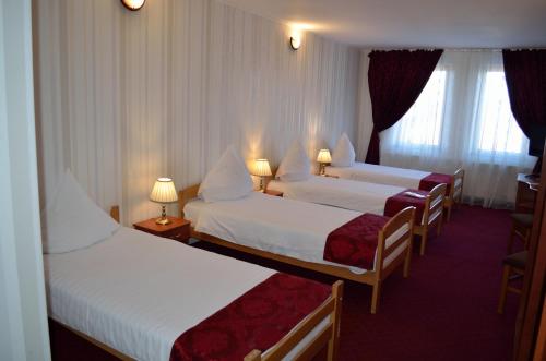 Un pat sau paturi într-o cameră la Hotel Rusu