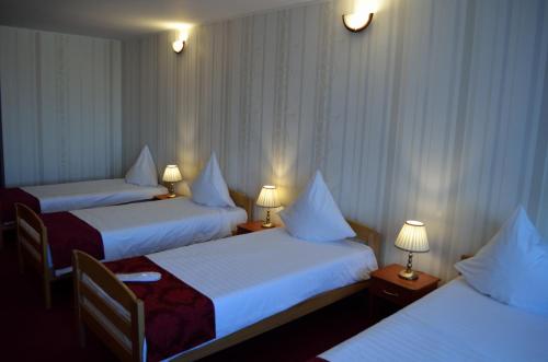 Gallery image of Hotel Rusu in Petroşani