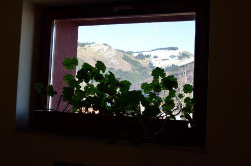 Gallery image of Hotel Rusu in Petroşani