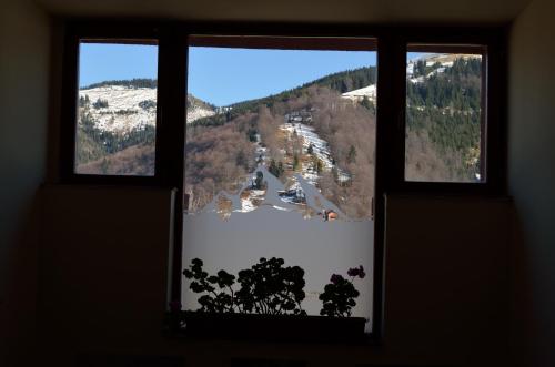 Gallery image of Hotel Rusu in Petroşani