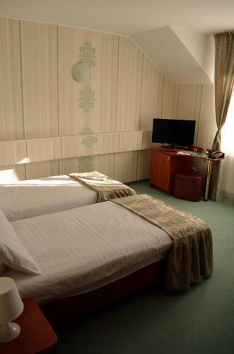 Gallery image of Hotel Rusu in Petroşani