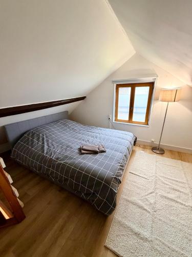 a bedroom with a bed and a lamp and a window at Maisonnette en coeur de ville in Cosne-Cours-sur-Loire