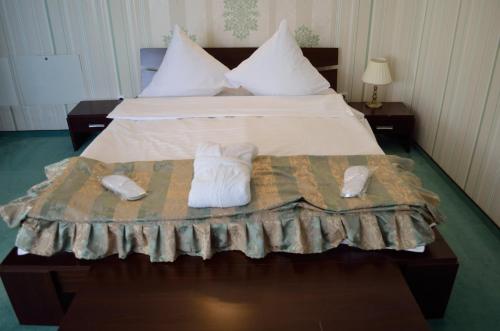 Gallery image of Hotel Rusu in Petroşani