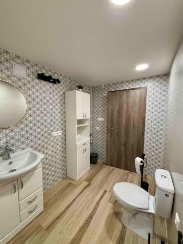 a bathroom with a toilet and a sink at Apartmán U Štýbnarů in Bulhary
