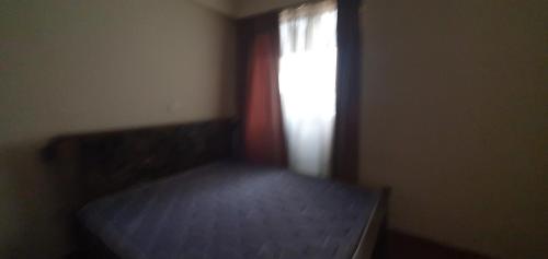 Легло или легла в стая в Diplomat Executive Suite