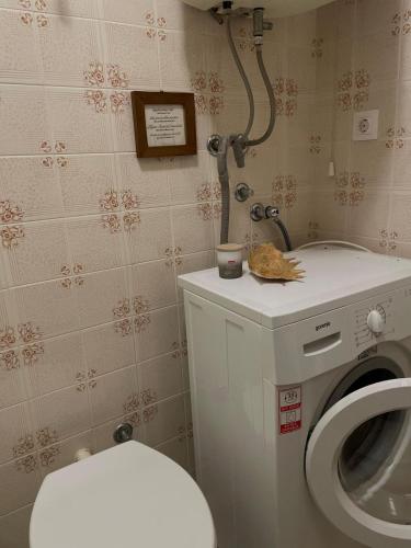 a bathroom with a washing machine and a toilet at Apartment Mladinić in Okrug Donji