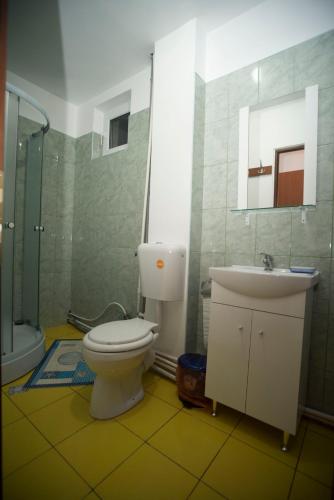 a bathroom with a toilet and a sink and a mirror at Hostel Ruxandra in Focşani