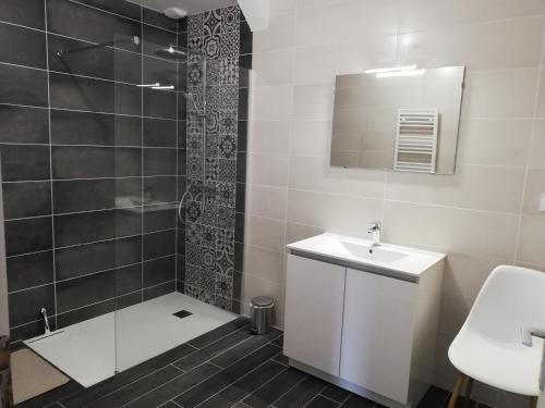 a bathroom with a shower and a sink at La maison du Lac in Louin