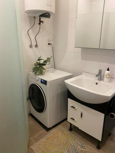 a bathroom with a washing machine and a sink at St Johns sunny side apartment in Cēsis