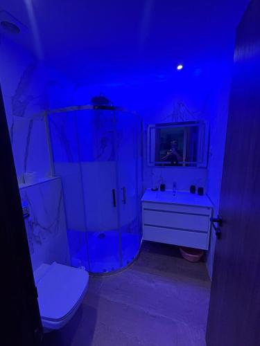 a bathroom with a shower and a toilet and a sink at Ijou gdena in Sidi Daoud