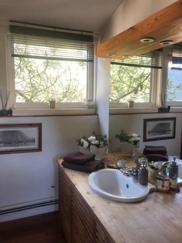 a bathroom with a sink and two windows at Woodune in Neufchâtel-Hardelot
