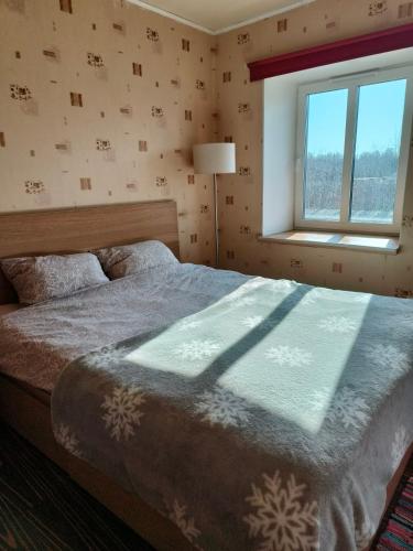 a bedroom with a large bed and a window at Tartu tänava külaliskorter in Viljandi