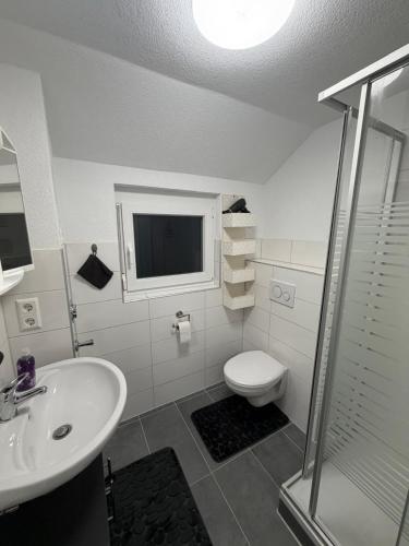 a bathroom with a sink and a toilet and a television at 5-Täler Stern in Geislingen an der Steige