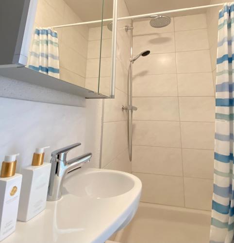 a bathroom with a sink and a shower at Studio Frohburg Gommiswald in Gommiswald