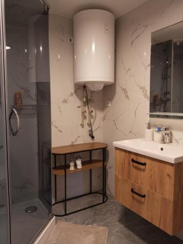 a bathroom with a sink and a shower at Apartmány u Náměstí in Chřibská