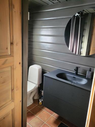 a bathroom with a sink and a mirror and a toilet at Bjorlicabin in Bjorli