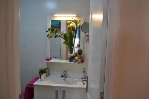 New apartment located in dowtown Parking free