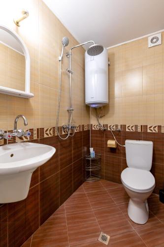 a bathroom with a toilet and a sink and a shower at Кума Лиса in Devin