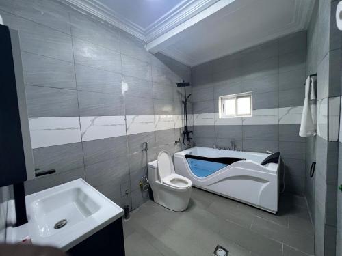 a bathroom with a toilet and a sink at Amelia Aparthotel in Buea