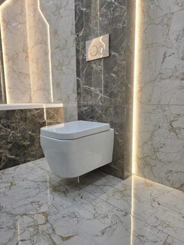 a bathroom with a white toilet in a marble wall at Svobody 5 in Uzhhorod