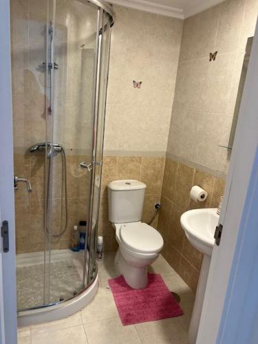a bathroom with a toilet and a shower and a sink at Comfortable apartment with balcony and huge pool in Sucina
