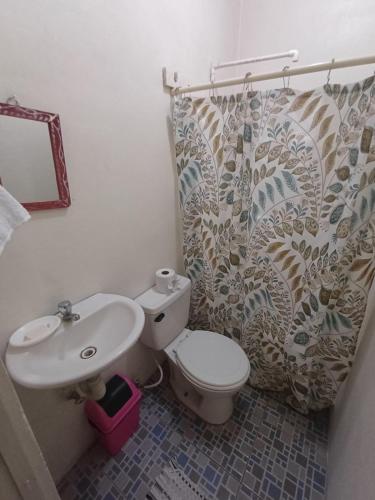 a bathroom with a toilet and a sink at Guest House Nena in Moyogalpa