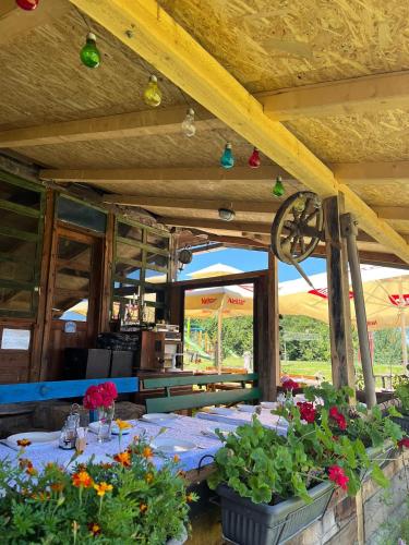 a table with flowers and plants on a patio at Šebovina Jelova gora in Starčevići