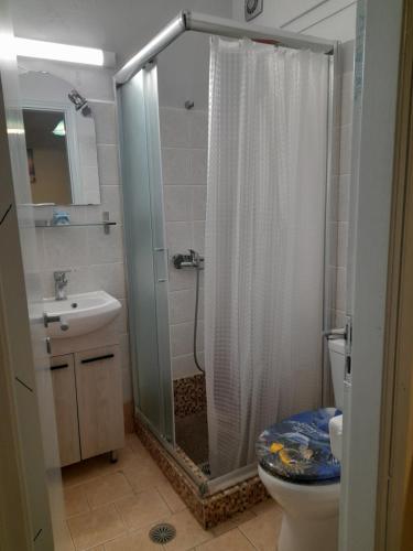 a bathroom with a shower and a toilet and a sink at Studios Eftichia in Fournoi