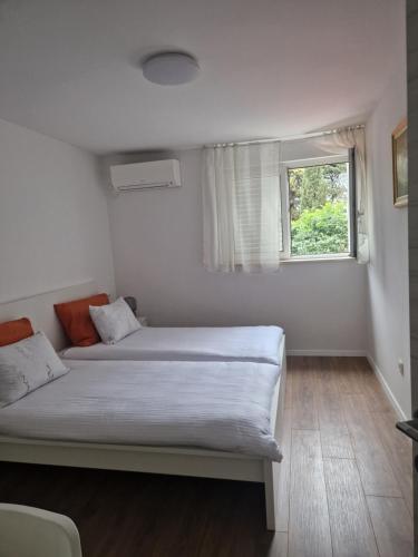 Apartment Teo