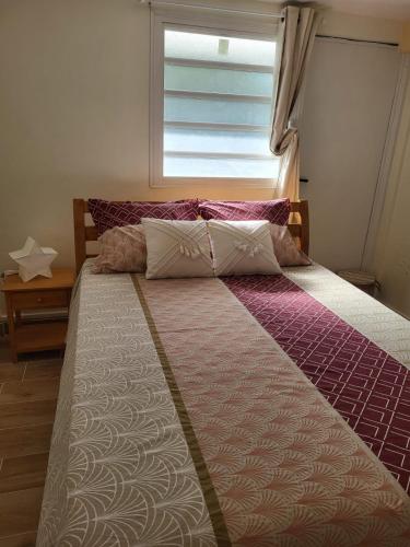 a bedroom with a large bed with a window at Case rouge in Les Abymes