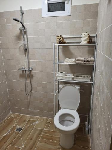 a bathroom with a shower and a white toilet at Case rouge in Les Abymes