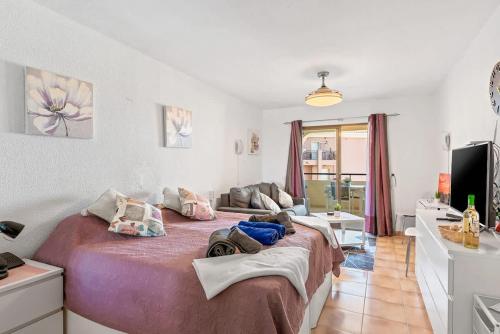 Castle Harbour 225