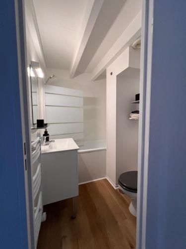 Loft sous les toits lumineux - Capitole-Daurade-Esquirol - Wifi