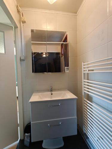 a bathroom with a sink and a mirror at Het Dobbertje, charmant houten huisje in Sint Maartensvlotbrug