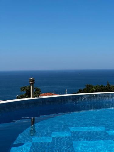 a swimming pool with the ocean in the background at Villa 11 Infinity pool & garden in Dobra Voda