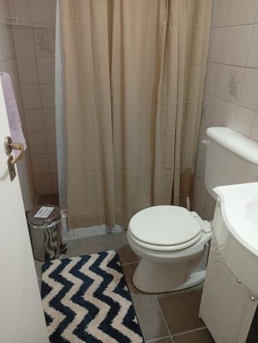 a bathroom with a toilet and a sink and a shower at Alojamiento Corcovado in El Corcovado