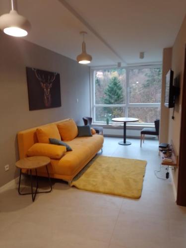 Apartament w Kozubniku