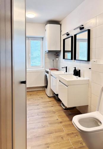 a white bathroom with a toilet and a sink at Apartment Kundratice in Košťálov