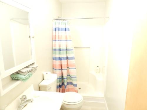 a bathroom with a sink and a toilet and a shower at CONDO 101c in Camp Hill
