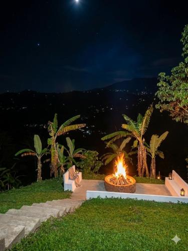 a fire pit in the grass at night at Finca Bellavista in Villeta