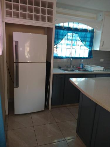 a white refrigerator in a kitchen with a window at Turtle Bay in Bridgetown