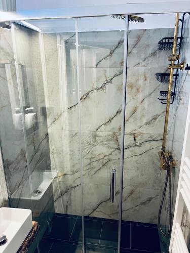 a shower with a glass door in a bathroom at Agro Bieszczady Sleep Tourism in Czarna