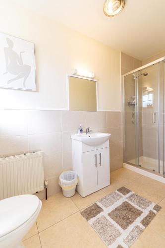 a bathroom with a toilet and a sink and a shower at Hillside House - Rose Cottage in Ballinamuck