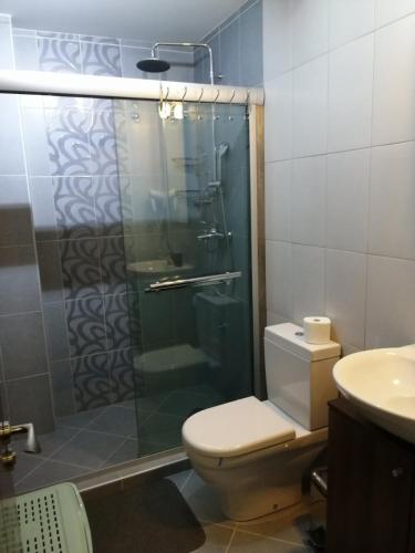 a bathroom with a shower and a toilet and a sink at Apartman Foka Spa in Brzeće