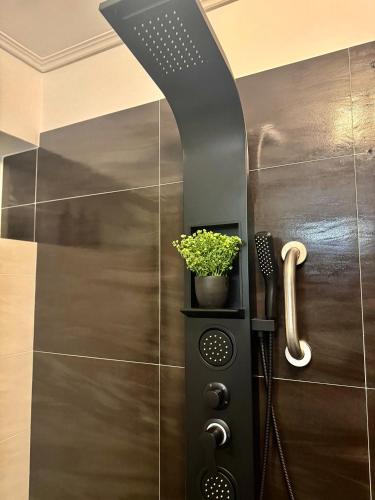 a shower in a bathroom with a plant on a wall at Mytilene Luxury Villa Garden Level in Mytilene