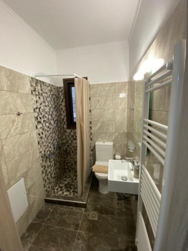 a bathroom with a shower and a toilet and a sink at Alkyona apartments in Kalavrita